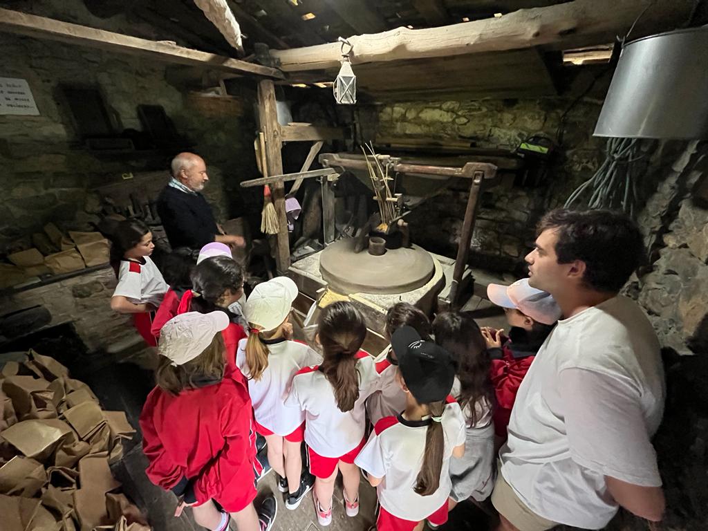 Colegio Montedeva tweet media