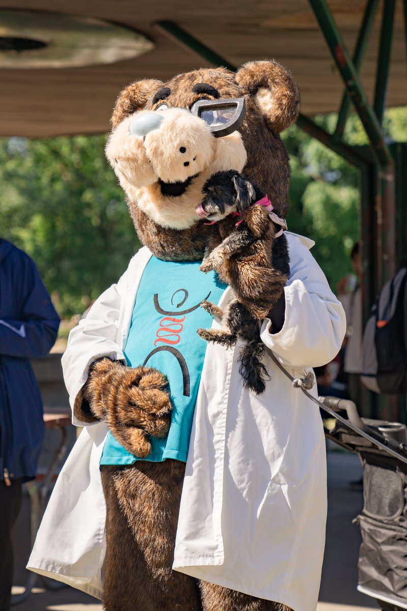 Lab_DerekMcKay's tweet photo. This year the McKay lab was proud to participate and volunteer in the annual #Gutsywalk for @getgutsycanada: Dr. Bear- aka- James, in Vancouver and the rest of us in Calgary! Thank you to everyone who came out to support the IBD community.
#IBD #Crohns #Colitis #gutsywalk2023 https://t.co/qdCV0aEZdo