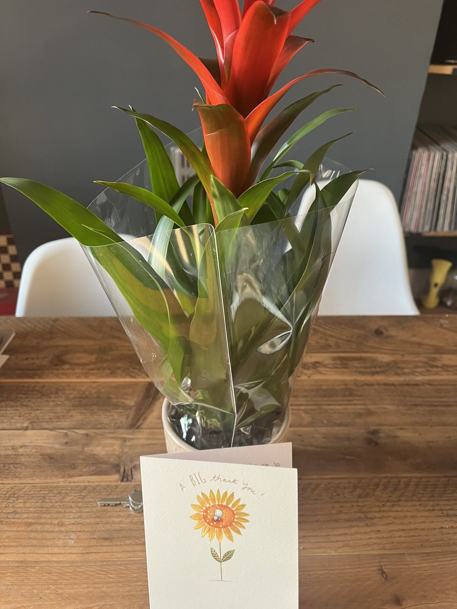 Tracy Clark (@tracyclarkyg) on Twitter photo 