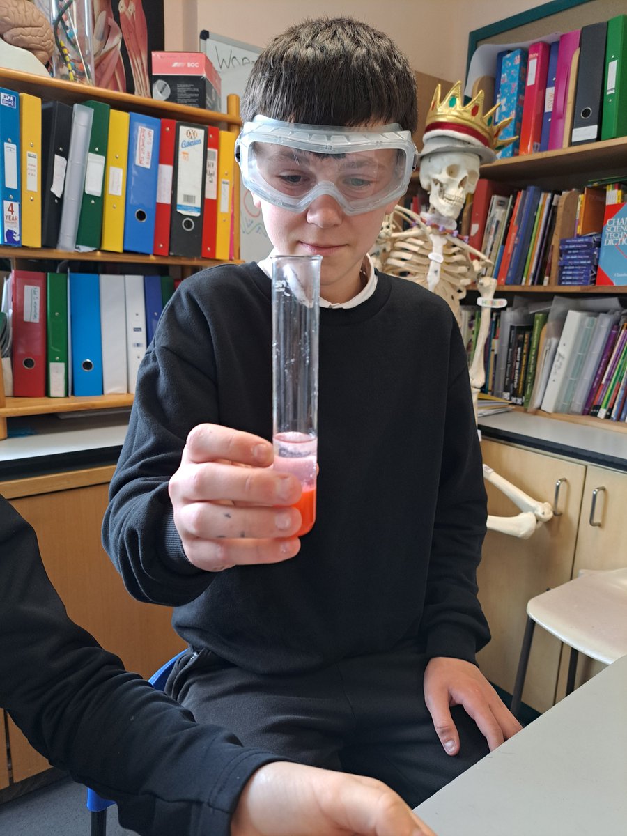 Sciencewebsters's tweet image. Miss Graham&apos;s S2 class spent today&apos;s lesson extracting DNA from fresh, local strawberrys to finish off our DNA topic... all groups were successful and much fun was had! 😁