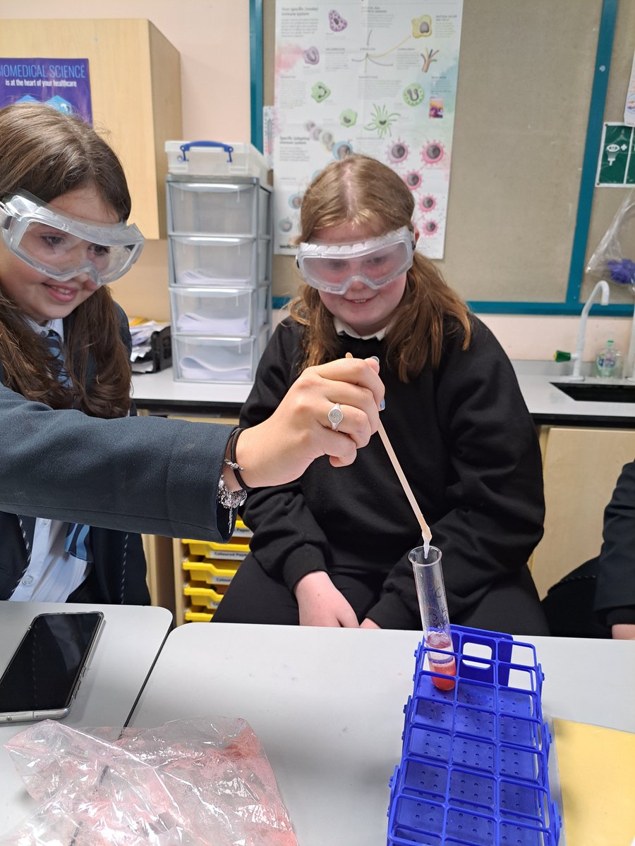 Sciencewebsters's tweet image. Miss Graham&apos;s S2 class spent today&apos;s lesson extracting DNA from fresh, local strawberrys to finish off our DNA topic... all groups were successful and much fun was had! 😁