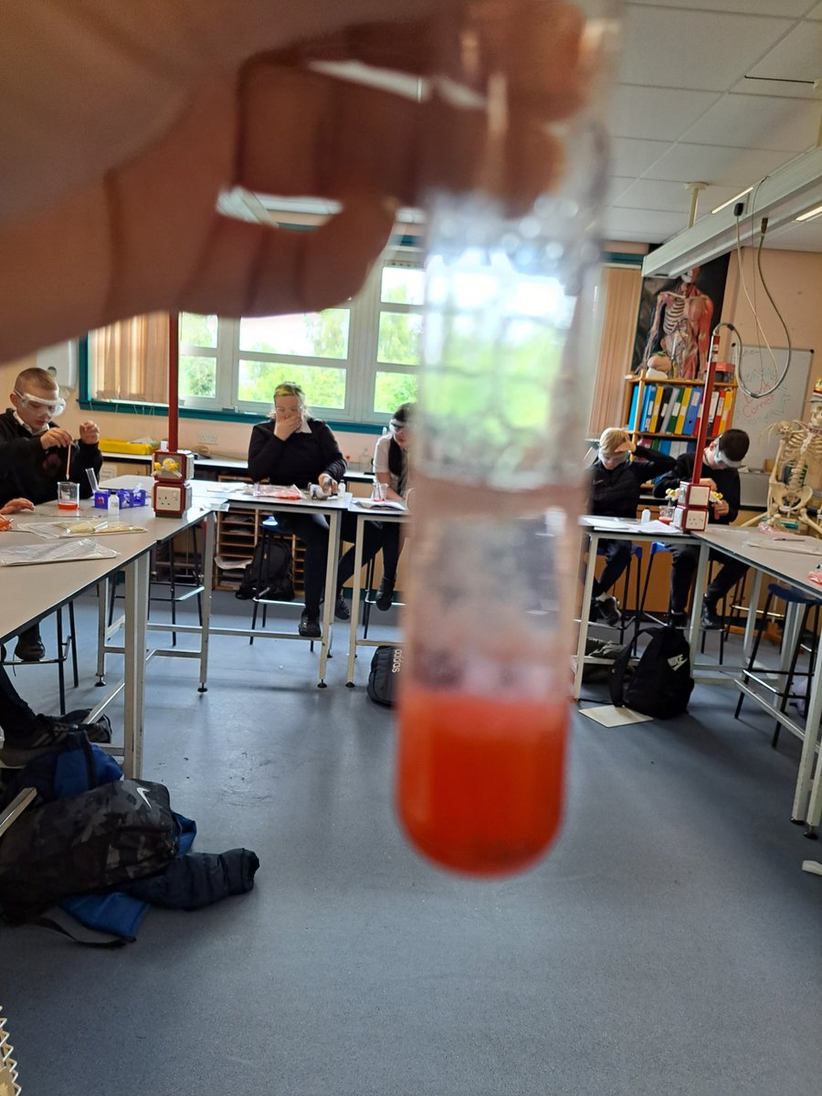 Sciencewebsters's tweet image. Miss Graham&apos;s S2 class spent today&apos;s lesson extracting DNA from fresh, local strawberrys to finish off our DNA topic... all groups were successful and much fun was had! 😁