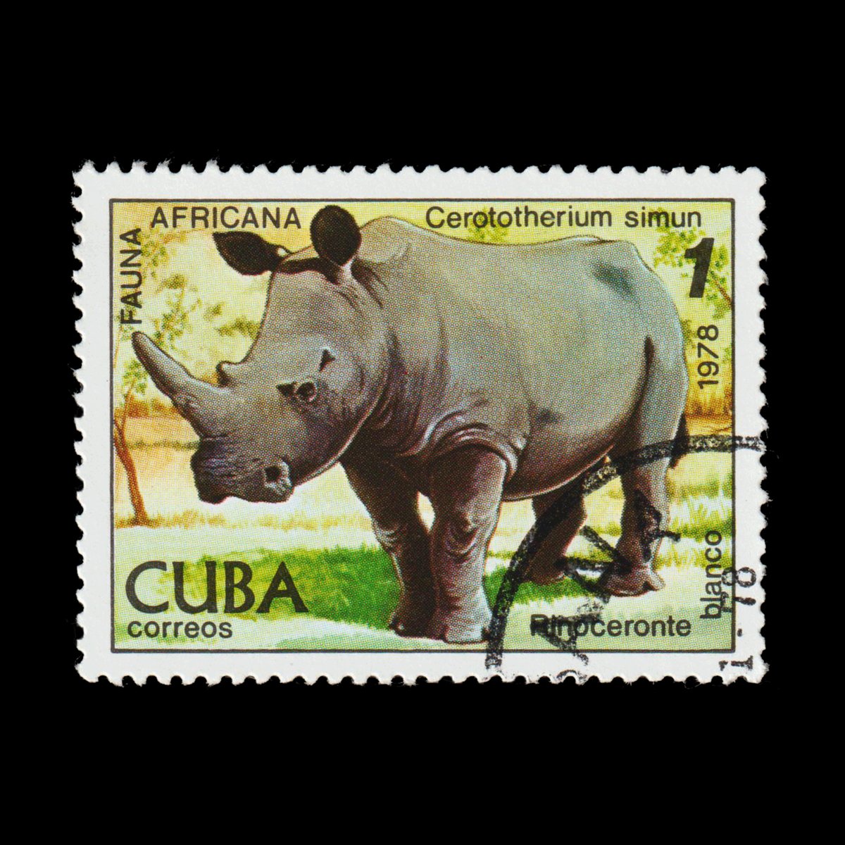 #DidYouKnow the White Rhinoceros, Ceratotherium simum, isn't white at all? The name is a misinterpretation of the Afrikaans word 'weit', which means 'wide', referring to its mouth! 🦏💡

❤️YES 🔃NO 🗨️MISLEADING

#FunFacts #stamps #philately #NFT #Bitcoin <a href="/opensea/">OpenSea</a> #WhiteRhino