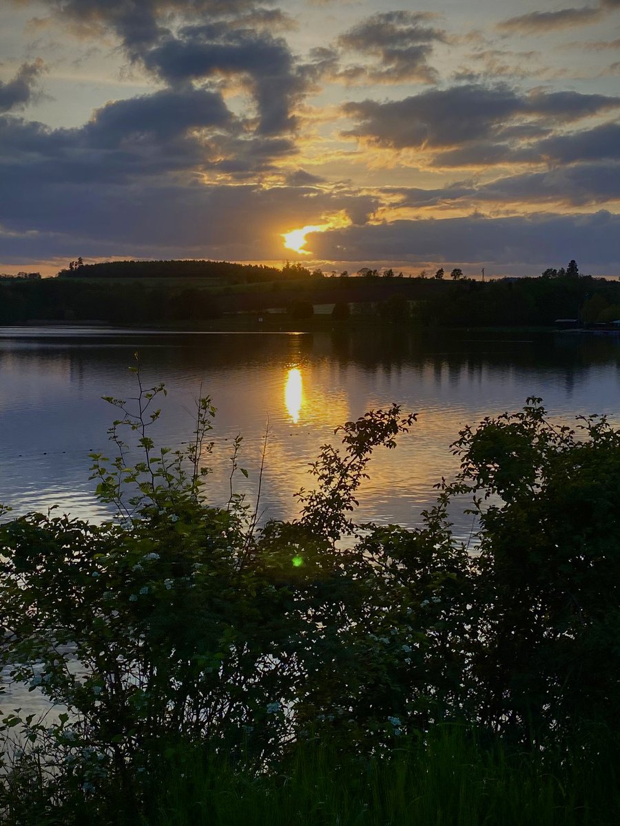 TanjaWinterling's tweet photo. Gn🌅 https://t.co/bGVZxctISM