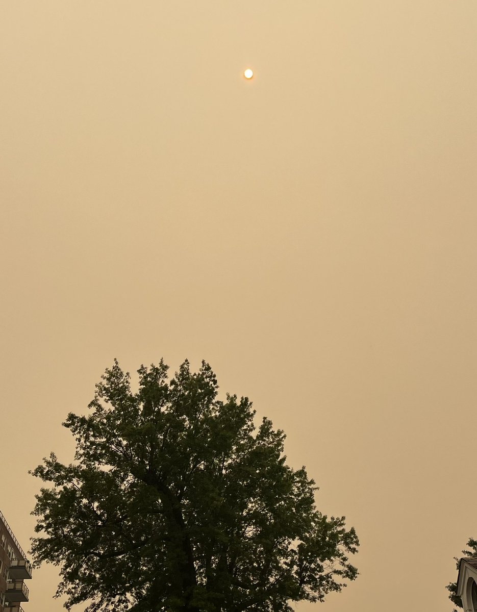 You can stare at the Sun and see that it is the size of the moon in the sky because of Canadian #wildfire haze.