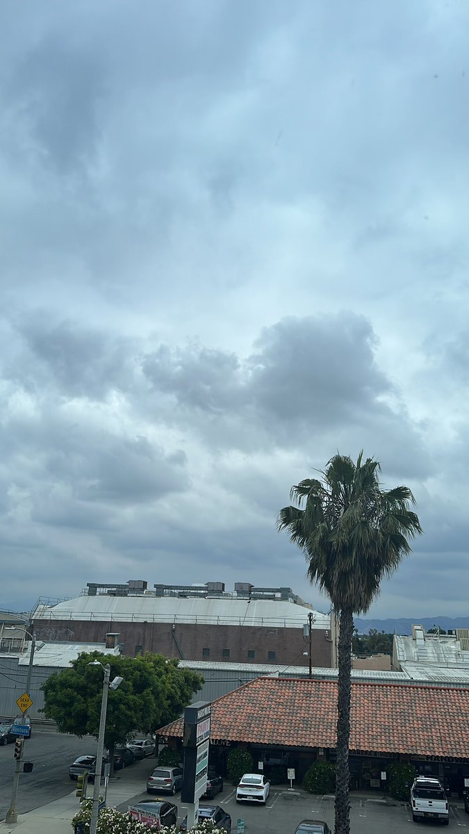 German_Blondy's tweet photo. Move to California they said. It’s always sunny and 75…🫥 #California #LosAngeles https://t.co/bToyuE21yJ