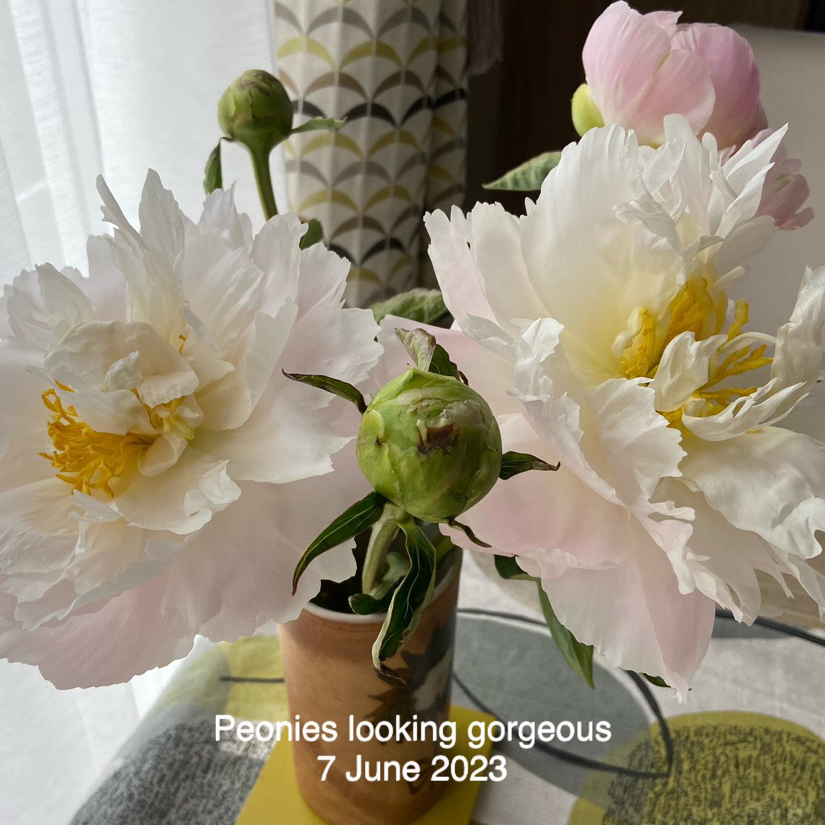 Gill Bracey tweet media