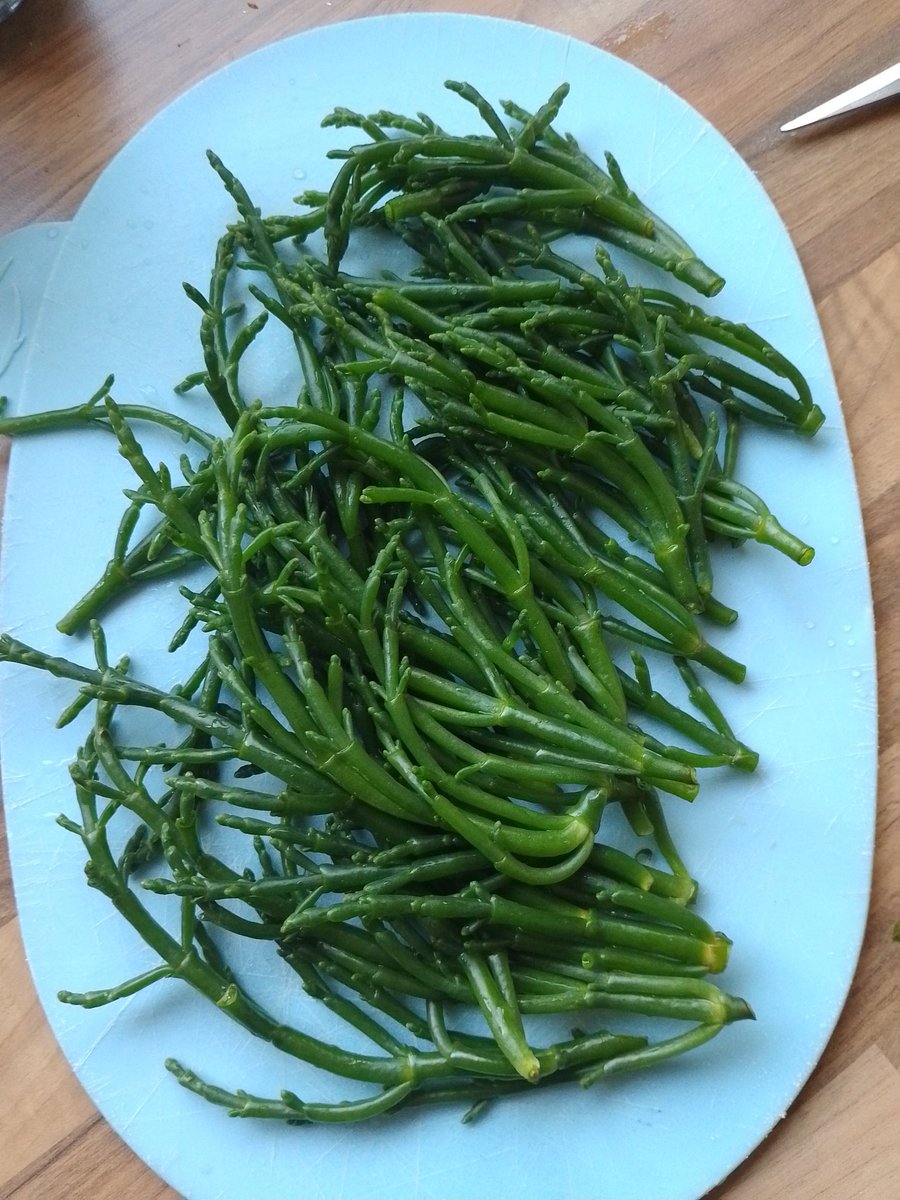 Annual rant...local foraged Samphire it's in season at the moment and far better than the airfreighted shite served up in a lot restaurants all year round
