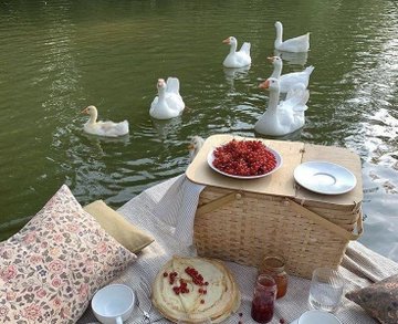 Allina_Barbari's tweet photo. your daily dose of escapism, https://t.co/v54U2TzLUl