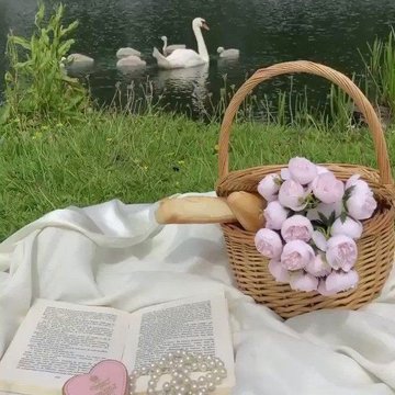 Allina_Barbari's tweet photo. your daily dose of escapism, https://t.co/v54U2TzLUl