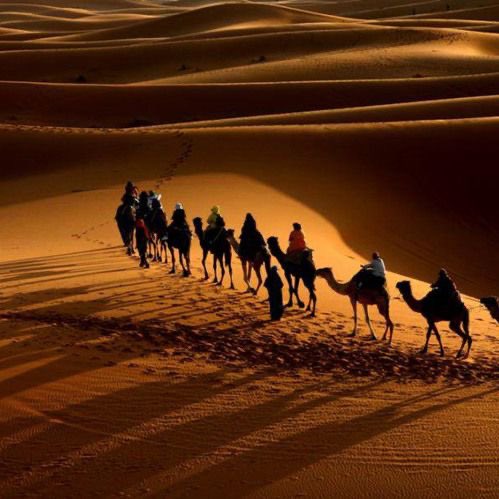 aljamal__'s tweet photo. في ضلوعي ..ليلة الحزن الطويل
……..  يوم شطّرت الظنون الجارحة 
دمع طفْل،ونوح شيخ،ودبك خيل
…..كِن في صدري « قبيلة نازحة » ! https://t.co/duzerUK2dP