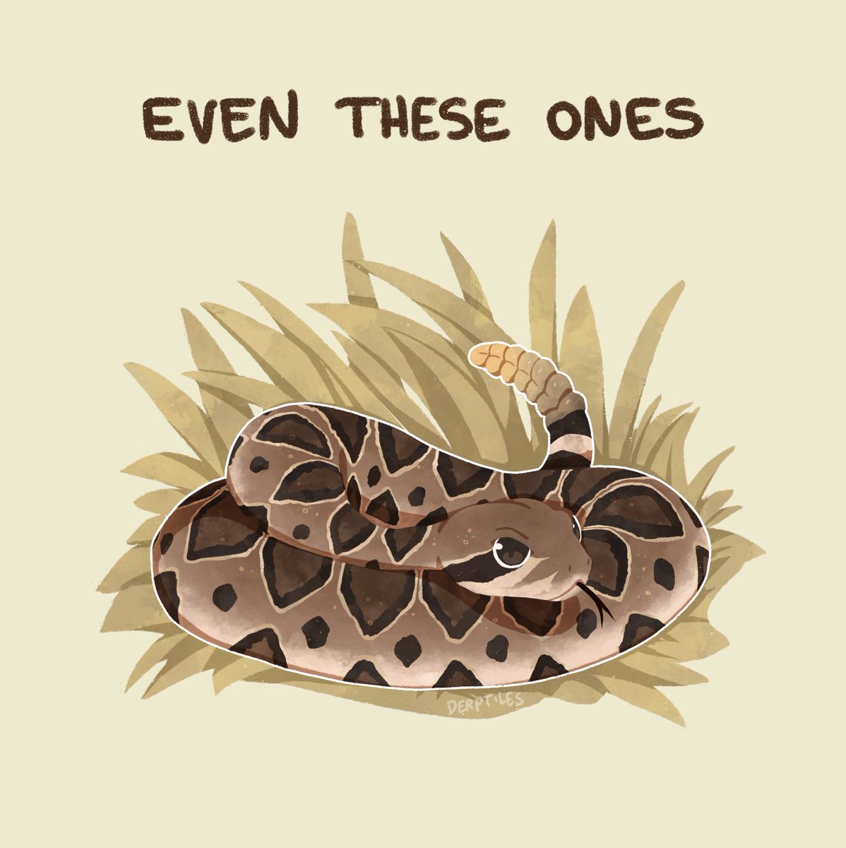 derptiles's tweet photo. There are no bad snakes, only misunderstood ones! 🐍💖 https://t.co/YQbSsFaBkE