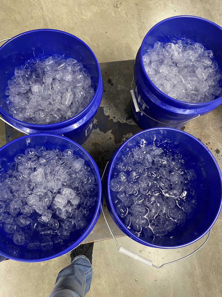 Melinda R. Counts tweet media