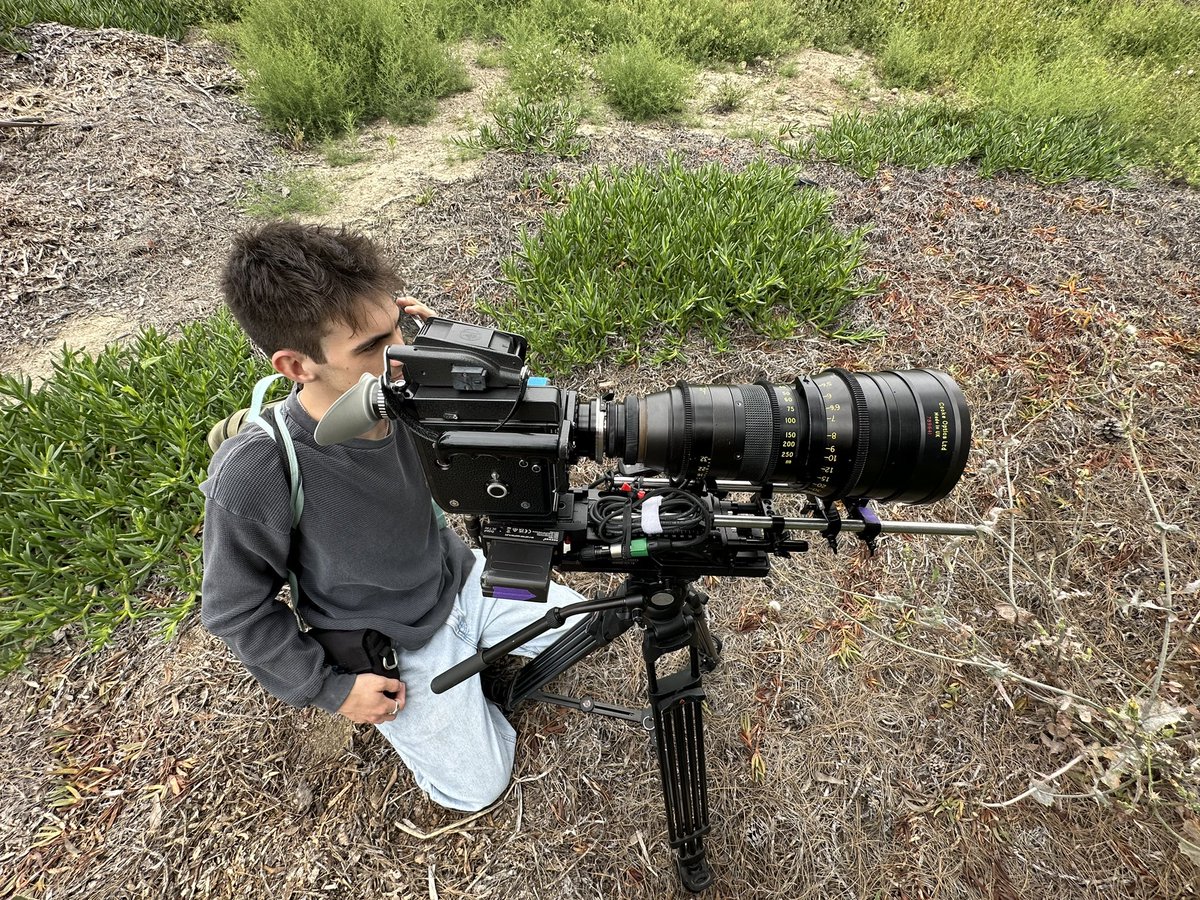 SHORE 🌊 tweet media