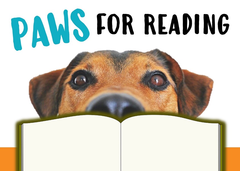 hendolibrary's tweet photo. Kids can "PAWS" for Reading this summer to keep their reading skills sharp! Sign up to read to a therapy dog at the Main, Fletcher, Etowah, and Mills River Libraries. Check the online calendar or call your preferred location for details. #HendoReads2023 https://t.co/UeySHzSDsJ