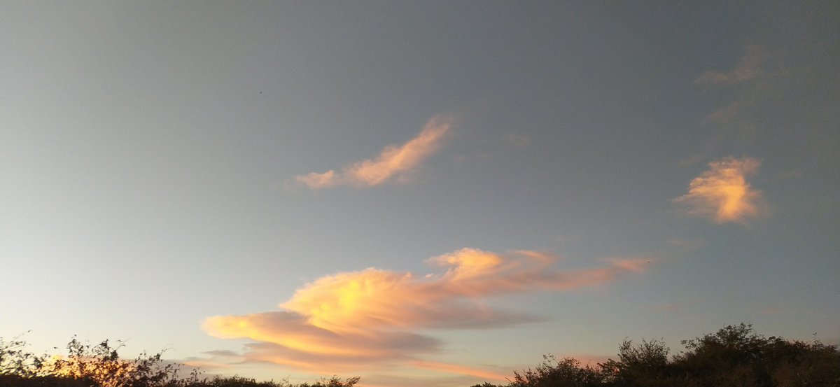 ʟᴇɴᴏɴ ! ᏟᎡҒ | 🐍 / 🇦🇱 / 🏆🏆🏆🏆 tweet media