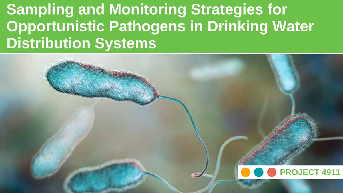 WaterResearch's tweet photo. Opportunistic pathogens (OPs) pose significant health risks in poorly operated distribution systems or outside the #water utilityβs jurisdiction. Project 4911 addresses that issue. . .
π¦ JUST PUBLISHED: https://t.co/0xGL5mNPvJ π¦ https://t.co/un6ZwkgCKC
