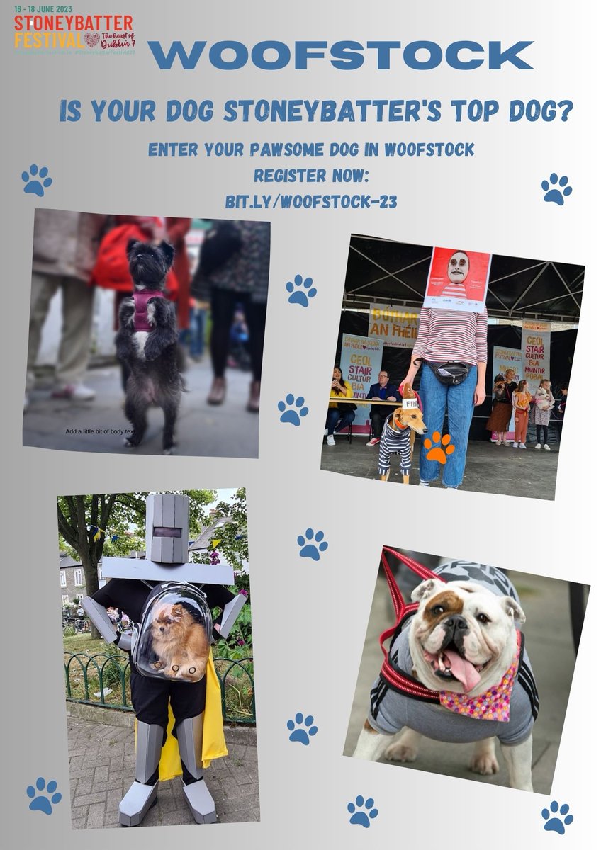 pauldunphy's tweet photo. As I'm going to be judging all the wonderful dogs in the 'Woofstock' competition again this year as part of the super #StoneybatterFestival23 our Gabby can't enter, but she is wishing all her pals the best of luck!😊🐾 MC'd by @EdTodayFM 👌See @StoneybatterPoP for all the deets. https://t.co/UKjH2T689x