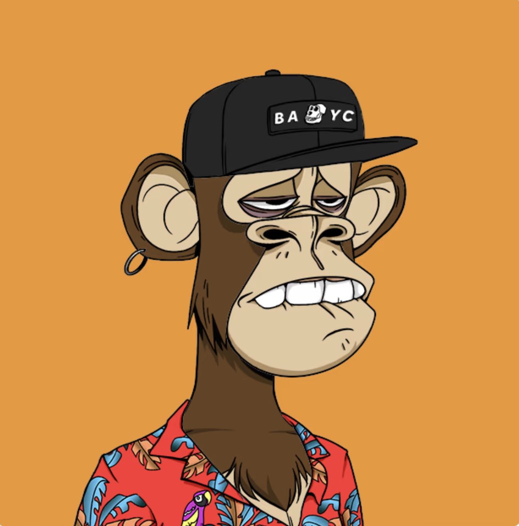 FPLAdmiral's tweet photo. Bored Ape Yacht Club 🦜 https://t.co/uaewF5ahjW
