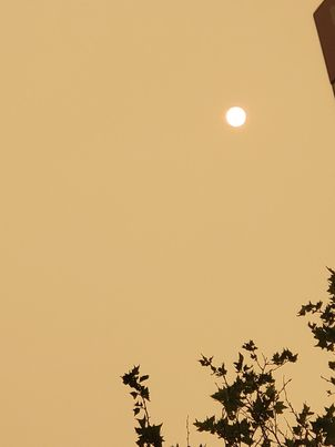 cozmicjump's tweet photo. NYC IS SO ORANGE https://t.co/mExZgkDBMV