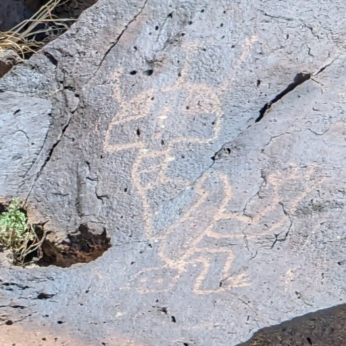 Bill Froehlich tweet media