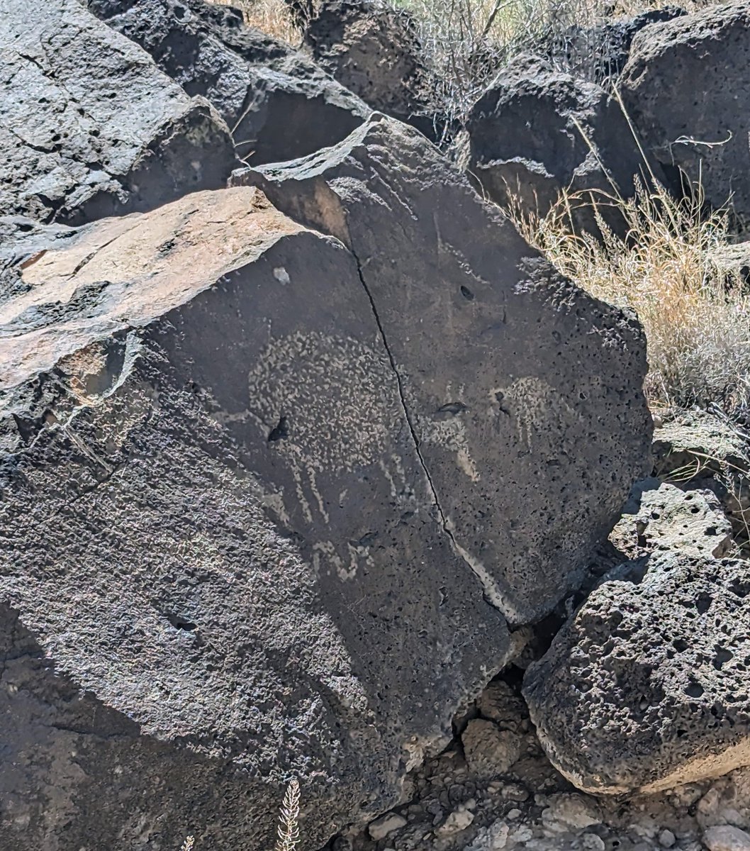 Bill Froehlich tweet media