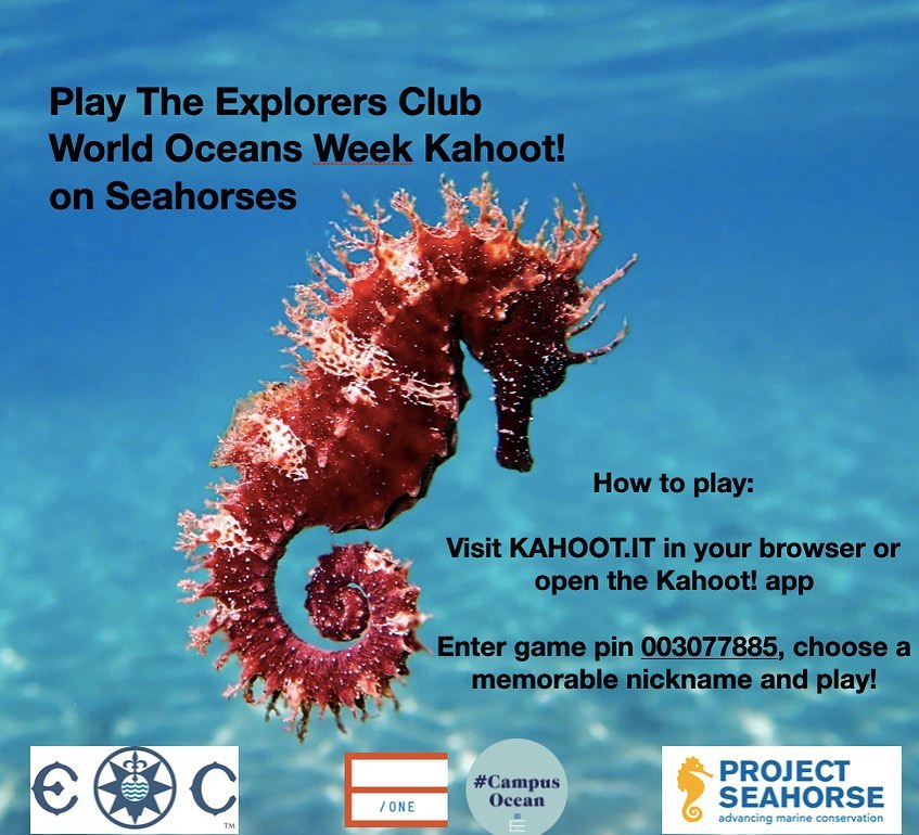 Project Seahorse (@projectseahorse) on Twitter photo Now for some fun!
Play the #seahorse kahoot and learn about these magical creatures.
Go to kahoot.it on your browser or open the app.
Enter the game pin 003077885, and play!
Sponsored by <a href="/ExplorersClub/">The Explorers Club</a>
@entrepreneurshipone #campusocean
#WOD2023 Now for some fun!
Play the #seahorse kahoot and learn about these magical creatures.
Go to kahoot.it on your browser or open the app.
Enter the game pin 003077885, and play!
Sponsored by <a href="/ExplorersClub/">The Explorers Club</a>
@entrepreneurshipone #campusocean
#WOD2023