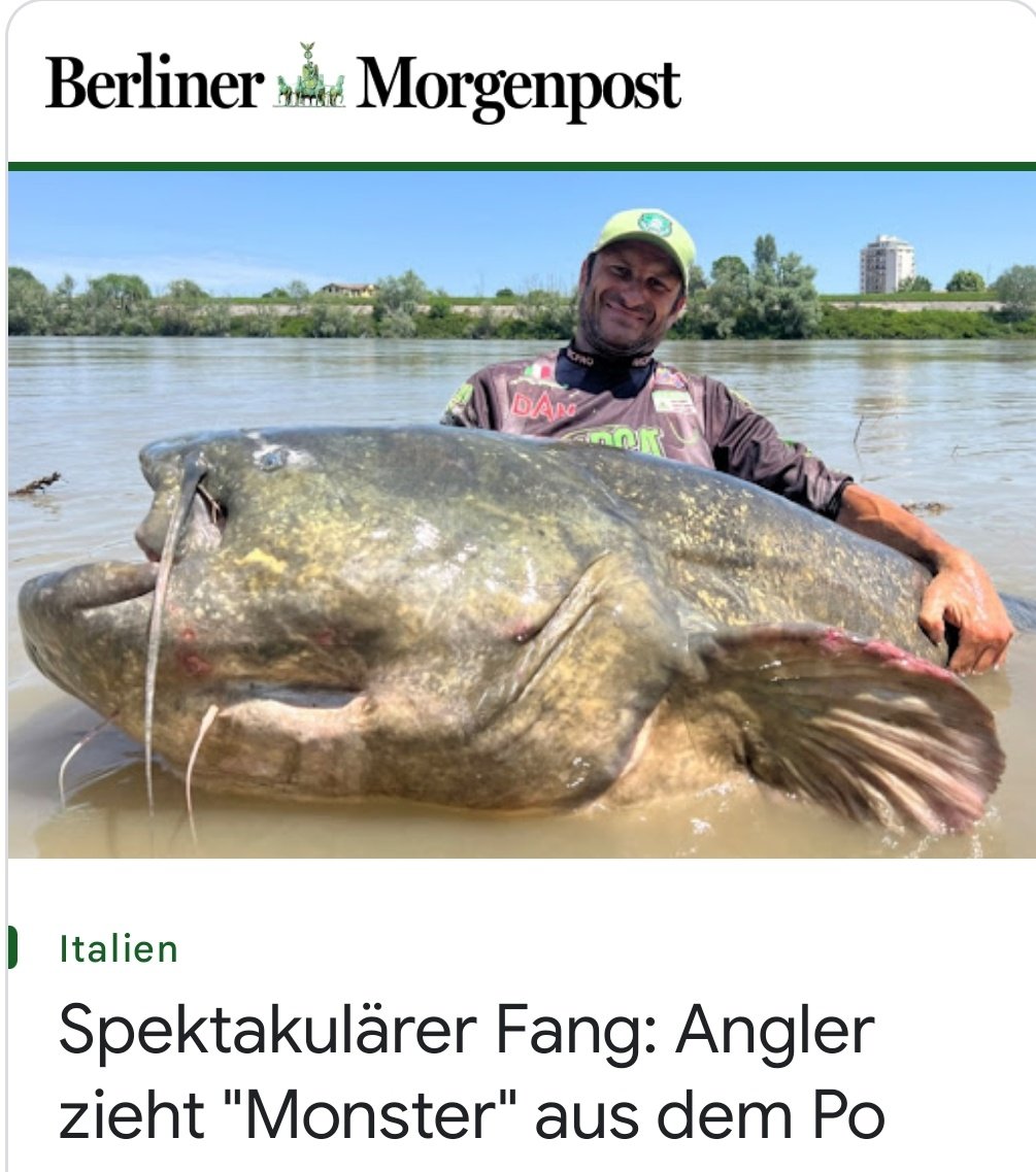 CS__03's tweet image. Eine bessere Überschrift hätte man wohl nicht wählen können... 😅🎣 @morgenpost
