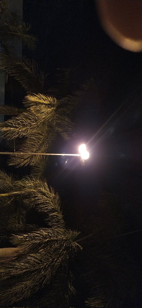 ʟᴇɴᴏɴ ! ᏟᎡҒ | 🐍 / 🇦🇱 / 🏆🏆🏆🏆 tweet media