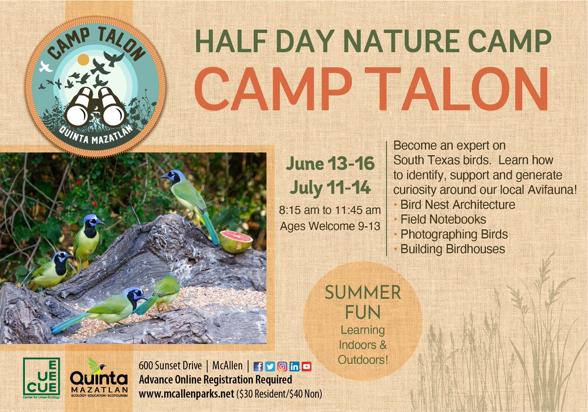 Does your child enjoy going into the woods and looking for birds, critters, using binoculars, cameras & more? Then your 9-13 year old will enjoy Camp TALON. Only a few spaces left. You can sign up on mcallenparks.net. Hope to see your camper on Tuesday morning.
