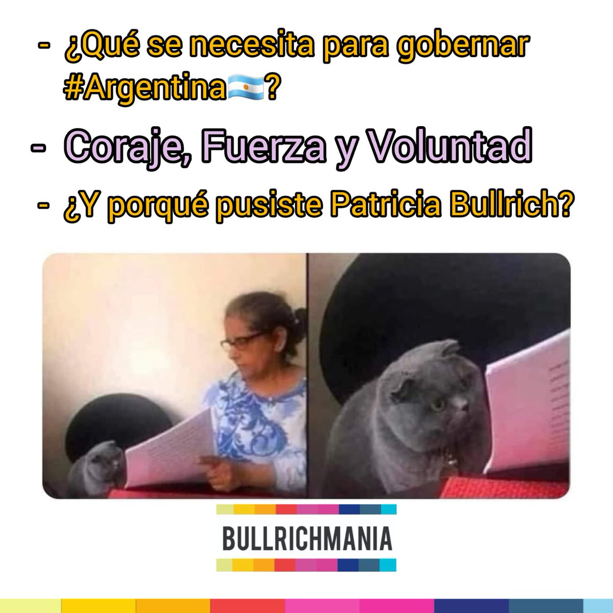 #patobullrich23 #bullrichmania #instagood #PatoVasaSerPresidente #meme #humor #argentina #lafuerzadelcambio #Bullrich23
