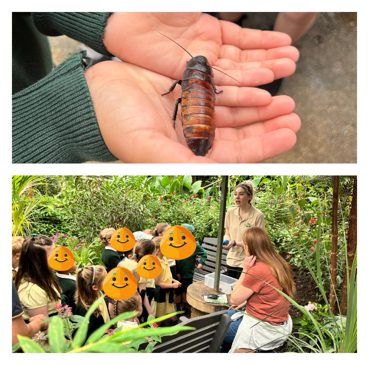 Squirrels class had a brilliant time at Call of The Wild zoo today!