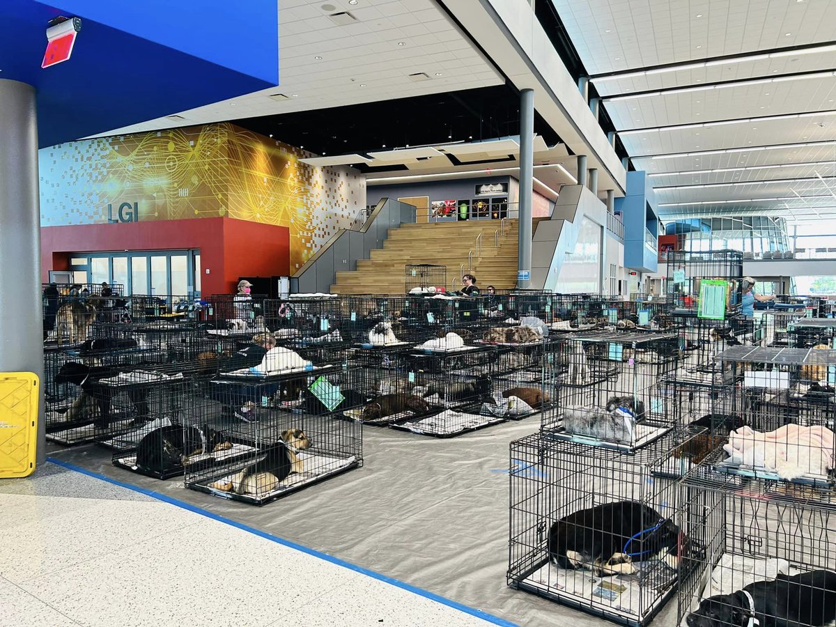 IEDARELIEF1's tweet photo. On Saturday June 4th, 2023, IEDA Relief volunteered with The Empty Shelter Project who hosted a free spay/neuter &amp; microchipping event for pets in the underserved neighborhood of Alief in the greater Harris County area.  #volunteering #servingcommunities https://t.co/2ds0BDRfDG