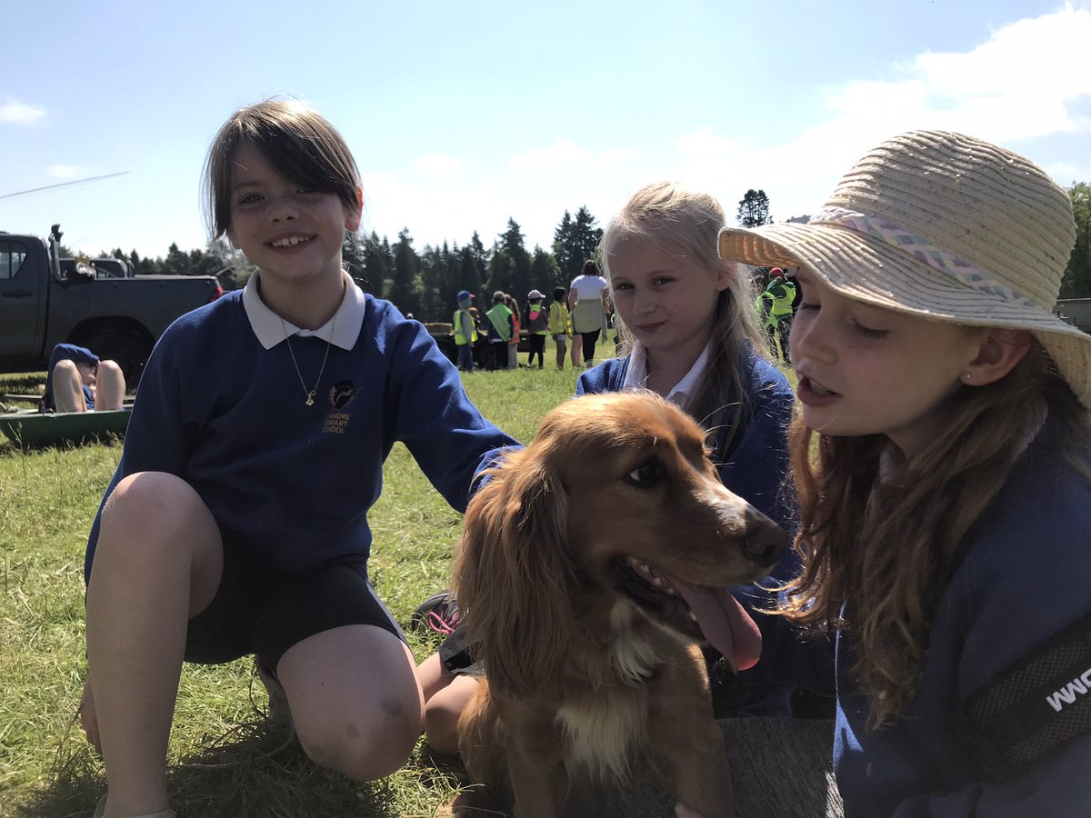 Kenmore PS tweet media