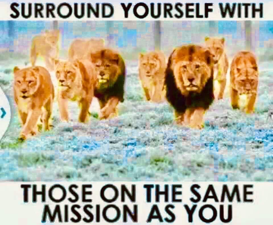 HeatherJ2652's tweet photo. 💪🙏🏼💙❤️ https://t.co/BHZXxHfLiN