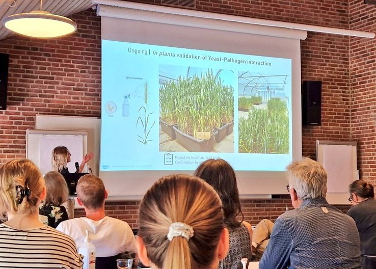 Linda Gouka (@linda_gouka) on Twitter photo Today, I got to present our work on phyllosphere yeasts at the annual CCRP meeting, representing the work <a href="/VivianeCordovez/">Viviane Cordovez</a> and I do at NIOO for the <a href="/matrix_projekt/">MATRIX</a> 🧫
Ofcourse part of the story was about the cool pot experiment in the experimental garden <a href="/niooknaw/">NL Inst of Ecology</a> 🌱 Today, I got to present our work on phyllosphere yeasts at the annual CCRP meeting, representing the work <a href="/VivianeCordovez/">Viviane Cordovez</a> and I do at NIOO for the <a href="/matrix_projekt/">MATRIX</a> 🧫
Ofcourse part of the story was about the cool pot experiment in the experimental garden <a href="/niooknaw/">NL Inst of Ecology</a> 🌱