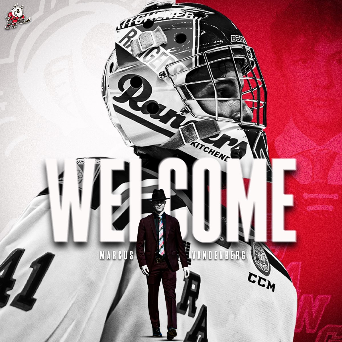 OHLIceDogs's tweet image. Your newest dog🐶

Welcome to the IceDogs family Marcus Vandenberg‼️

#godogsgo | @OHLHockey