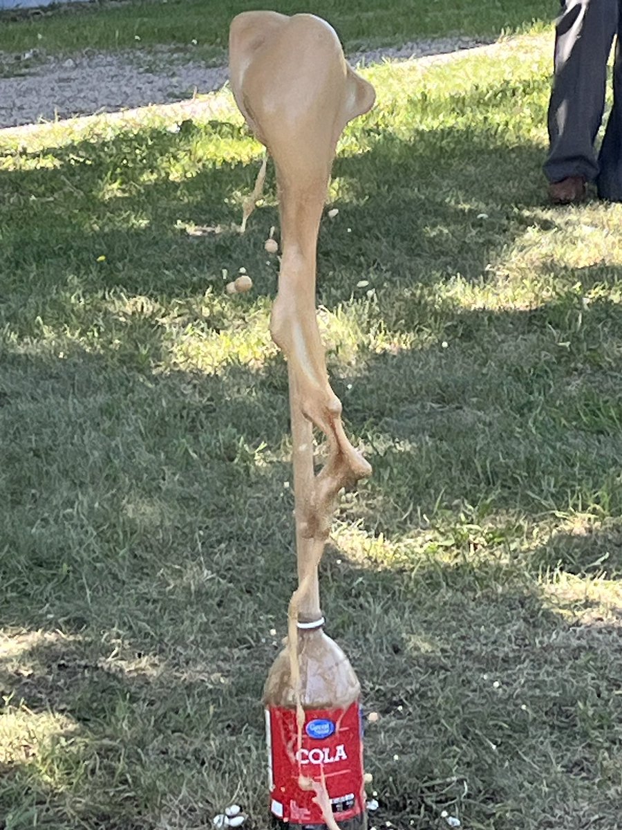 MsGreigsClass's tweet image. For grade 5 science, we explored the question: Does the type of soda change how high the mentos geyser will go? We practiced making hypothesis and sketchnoting our observations! Fun fact: Diet Coke went higher than Ms. Greig! 😱