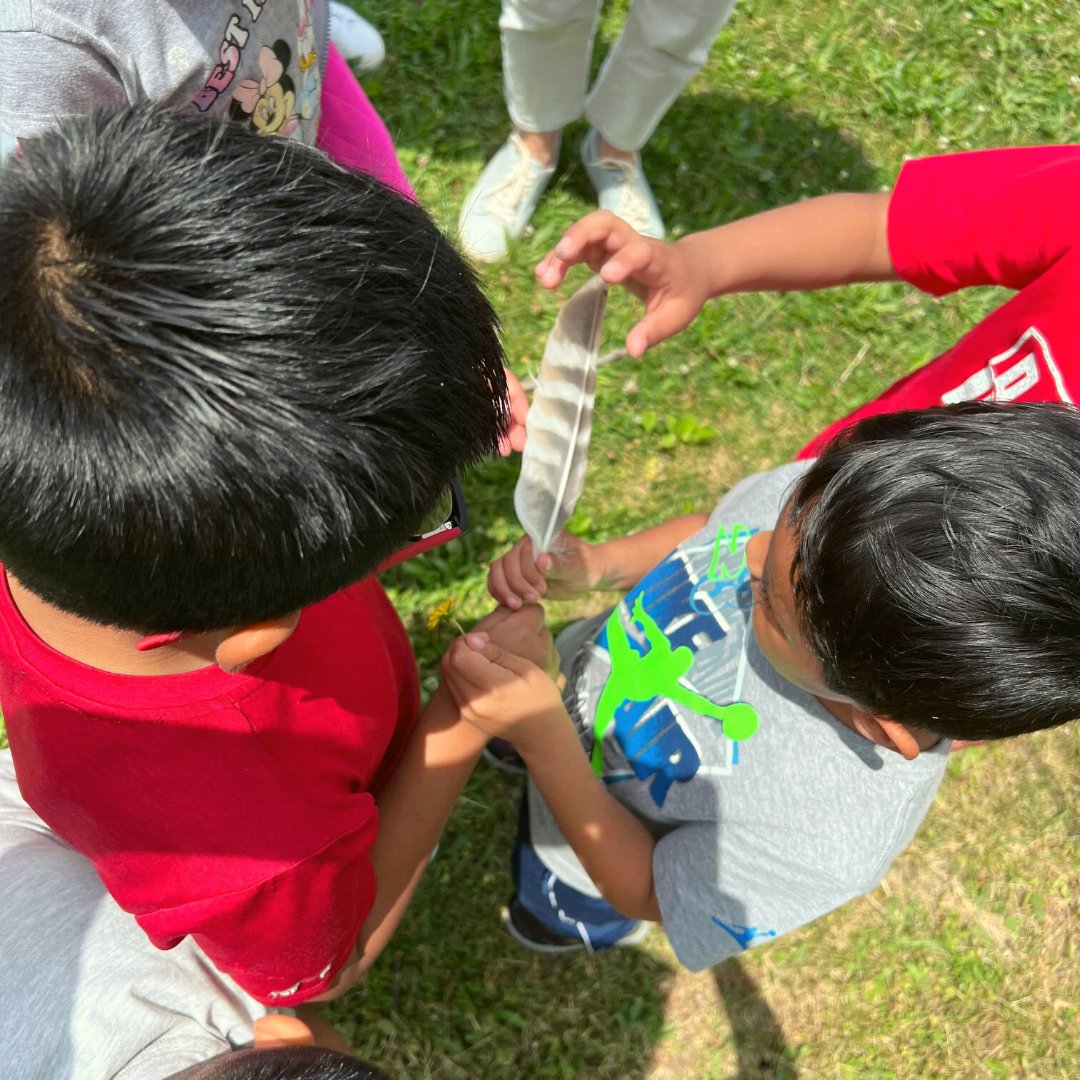 Brightlane Learning tweet media