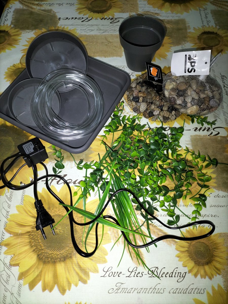 SoySaralarala's tweet image. Pues ya estaría 🥰 Paco ya tiene su fuente hecha para que se bañe y disfrute. Mañana toca instalarselo en la jaula ✌🏻😊 #OleYo #OleMiChochoMoreno #BuenasTardes #FelizTarde #FelizMiercoles #7Junio #Junio2023 #Ninfa #Paco