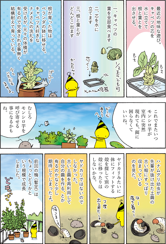 ワラジ虫周辺の観察漫画120話目。 