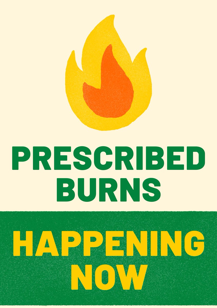 #ICYMI more #RxFire happening today through Friday.

fs.usda.gov/detail/coconin…
