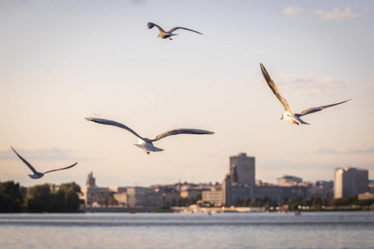 random name (@tim_f_p) on Twitter photo 