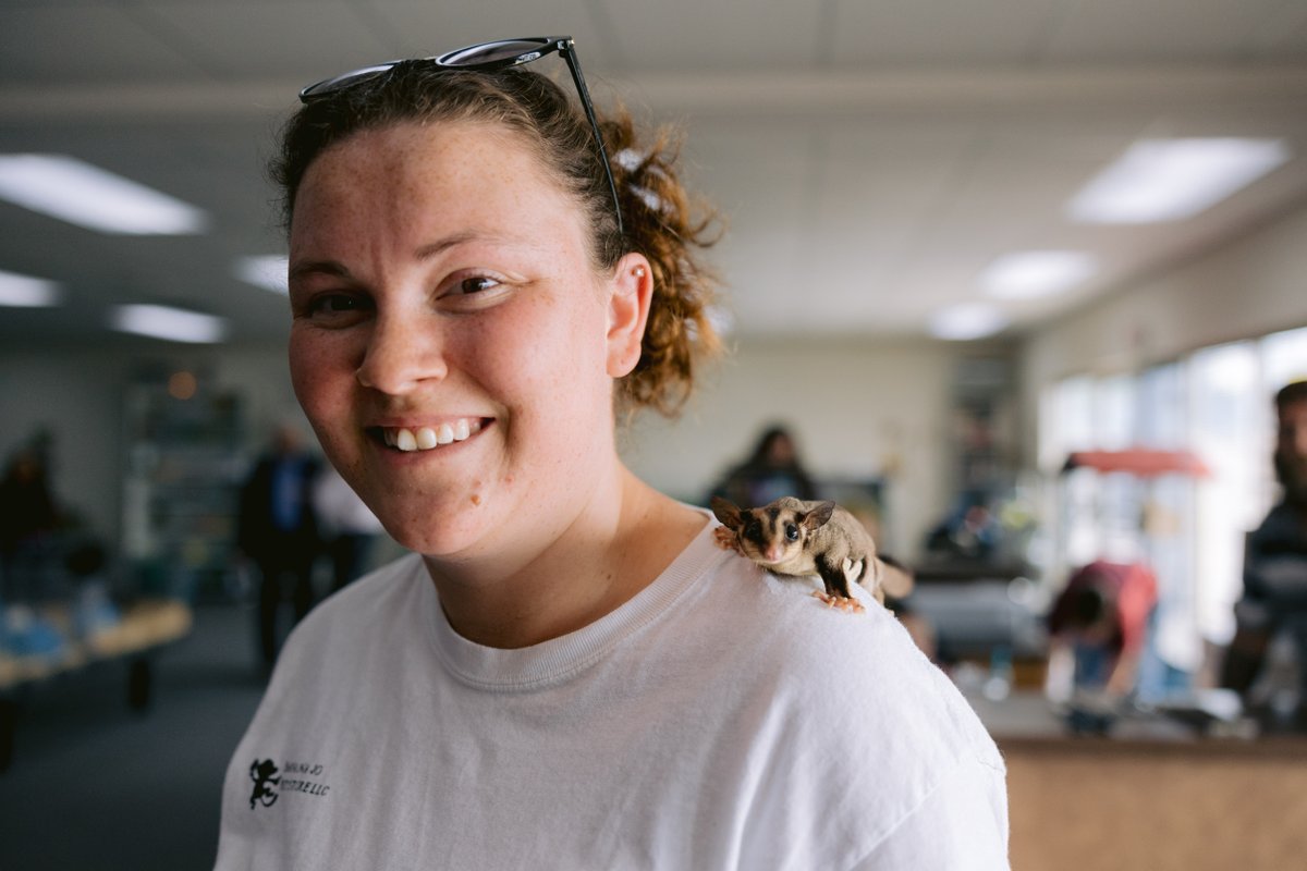 Harrison Regional Chamber of Commerce tweet media