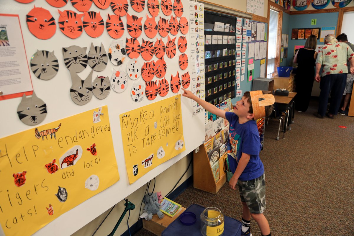 DukeSchool1's tweet photo. Congratulations to our Kindergarteners on the successful wrap-up of their final projects: Garden, Cats, and Trash Tools. The writing, representations, and project work by these kindergarteners were nothing short of spectacular. Well done, Kindergarteners! Next stop, 1st grade! https://t.co/uNAC39sWl0