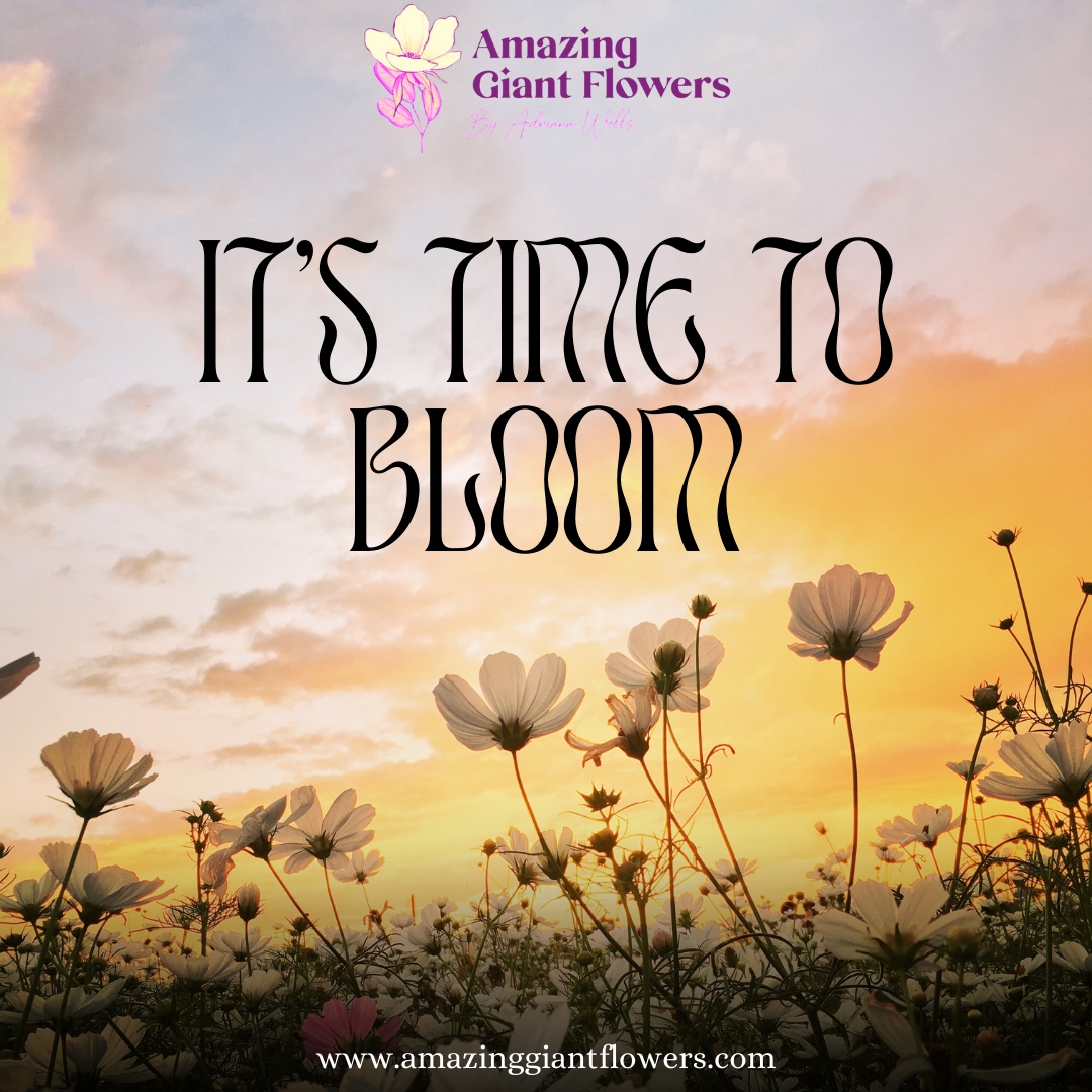 🌸🌼 It's time to bloom and let your true colors shine!

Our flower shop has everything you need to add a touch of beauty to your life.

#TimeToBloom #FindYourBeauty #FlowerShop