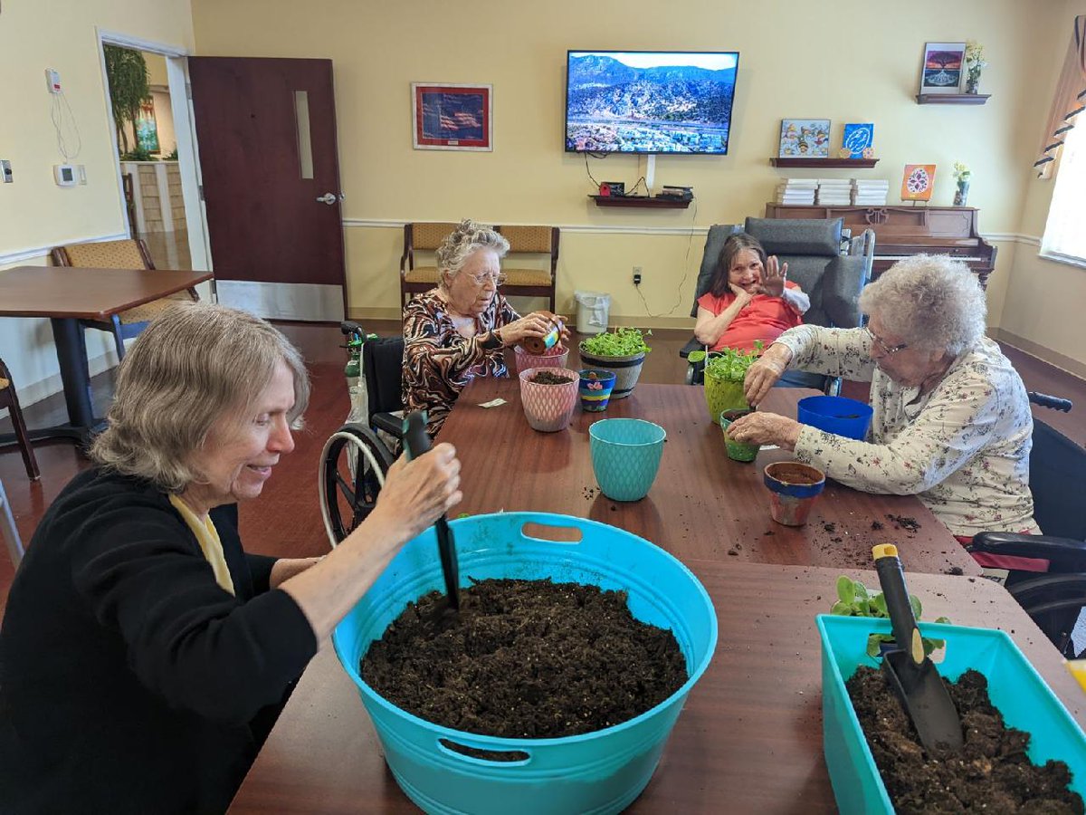 VillageGreenHC's tweet photo. We enjoy getting our hands dirty and working in the soil. Our plants are doing great and outgrowing their pots. We repotted them so they have more room to grow.  We cannot wait till we can harvest what we planted!  🍅 #CampusInColor #TrilogyLiving https://t.co/wnoYKgwLA3