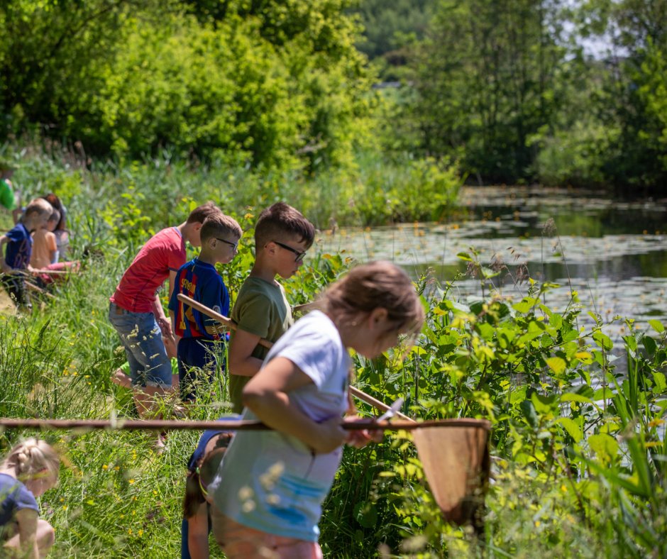 aaenmaas's tweet photo. Waterdiertjes vangen, op vissen- en plantenexcursie of al wandelend een mooi plekje ontdekken? Deze zaterdagochtend 10 juni van 9.30 tot 12.30 uur organiseren we een Waterdag in de natuur rondom kasteel Heeswijk voor jong en oud!💧🌿 Meer info👉 https://t.co/k3xHWLviM4 https://t.co/9DCbOOLgDd