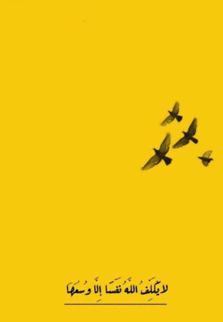 رتابة فوضوي tweet media