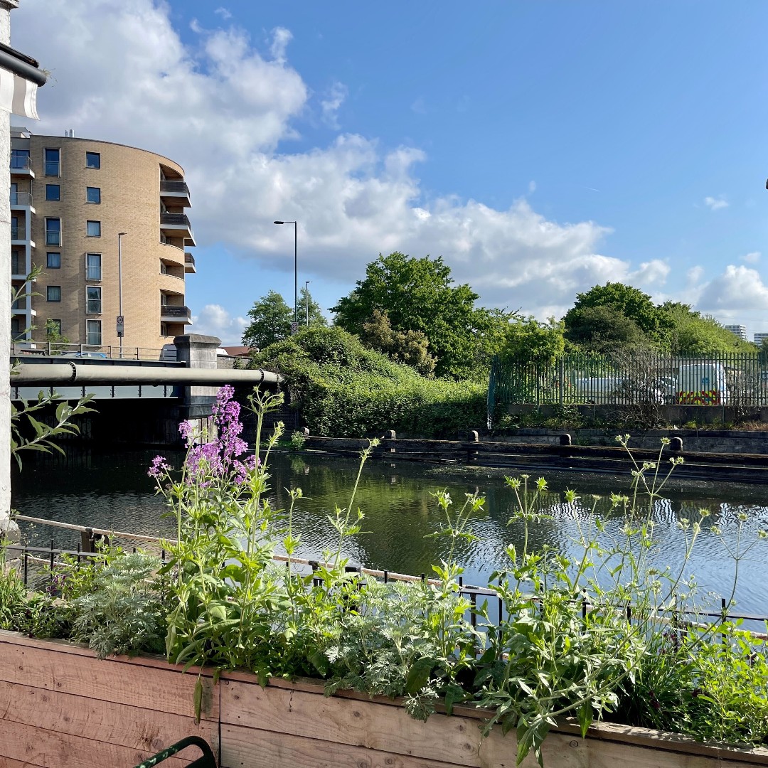 ELWaterworks's tweet photo. It's #GrowingforWellBeing Week!
#Gardening is for everyone. Our new planting @ThePrincess_E5 doesn't just brighten up the pub garden; it has many benefits for the #volunteers creating and tending it, who are learning many new skills!
Photos @jonathanperugia https://t.co/8NSbphRAuI